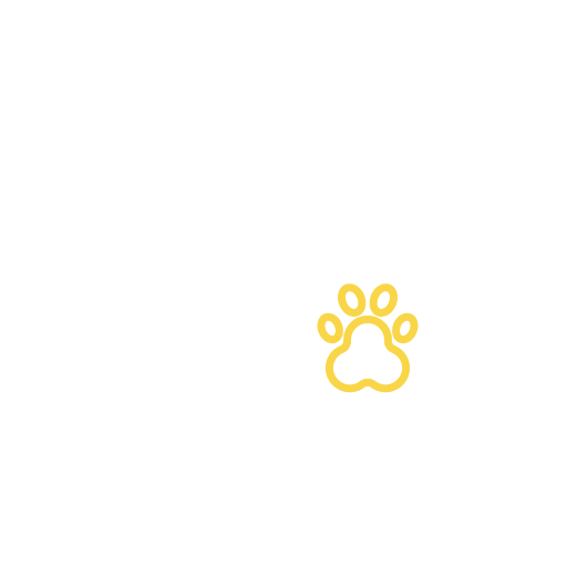 Pet Behavior Counseling Icon